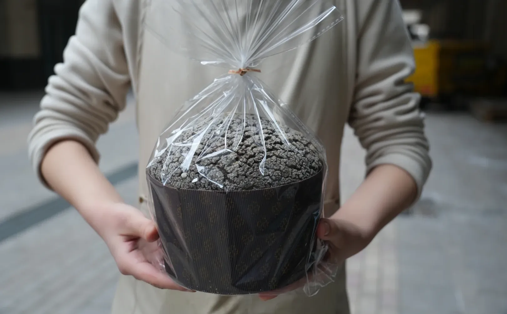 在邯郸也有不一样的潘娜托尼