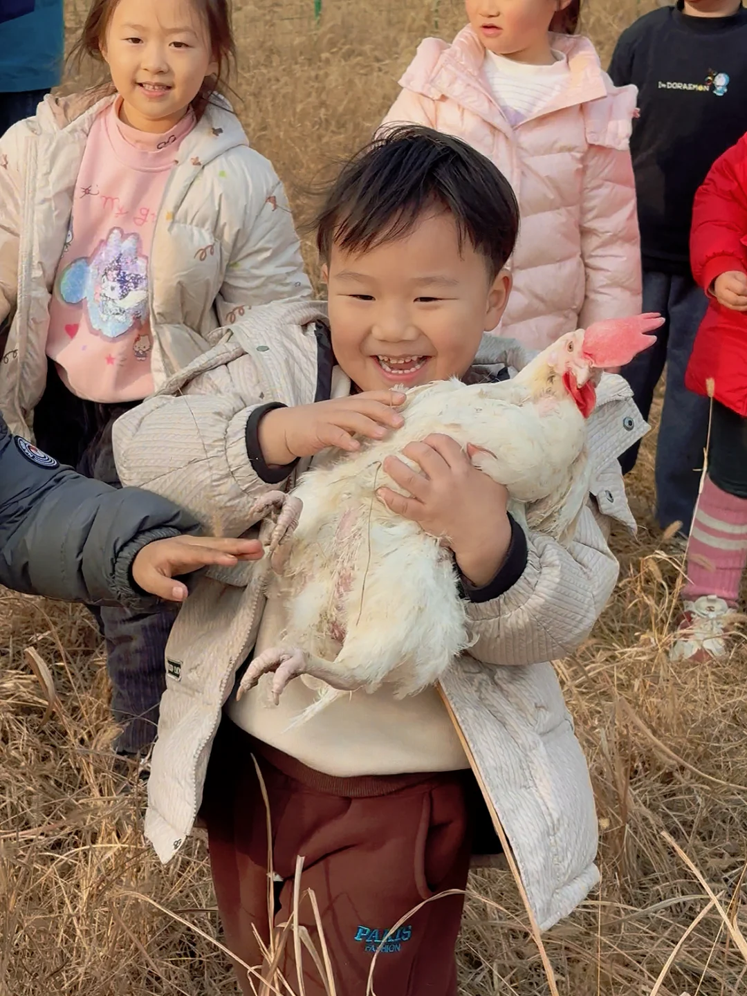 邯郸鹿尔花园免费捡鸡蛋啦❗️❗️❗️