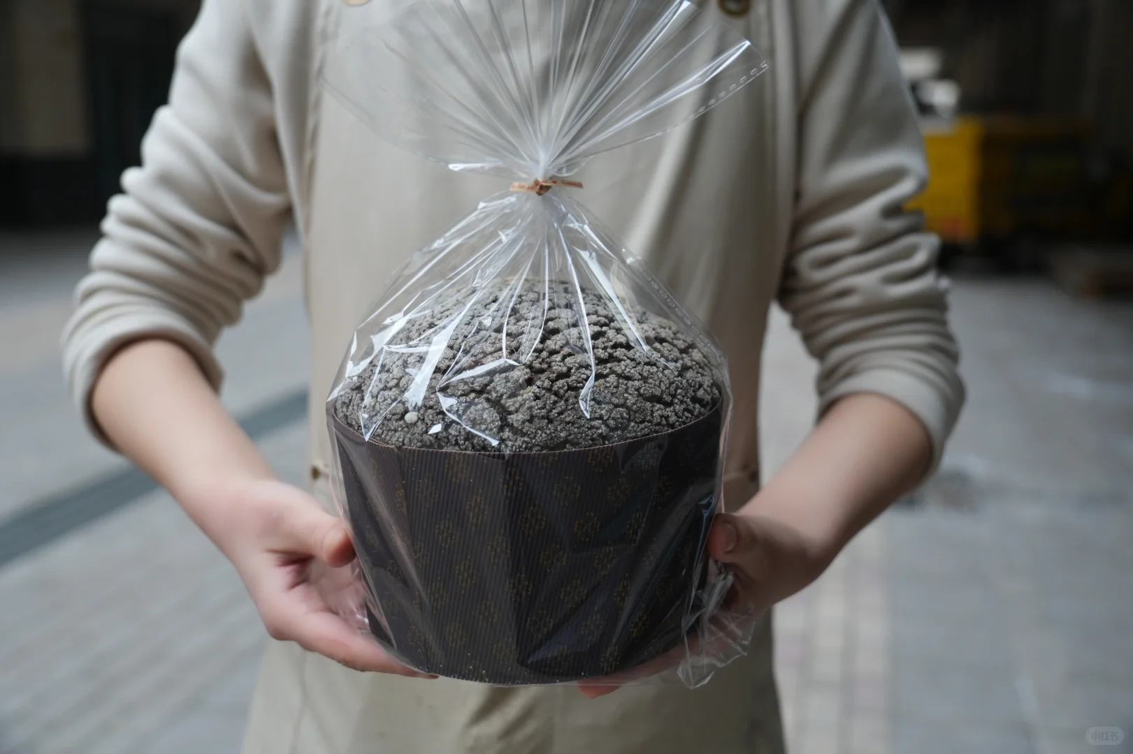 在邯郸也有不一样的潘娜托尼