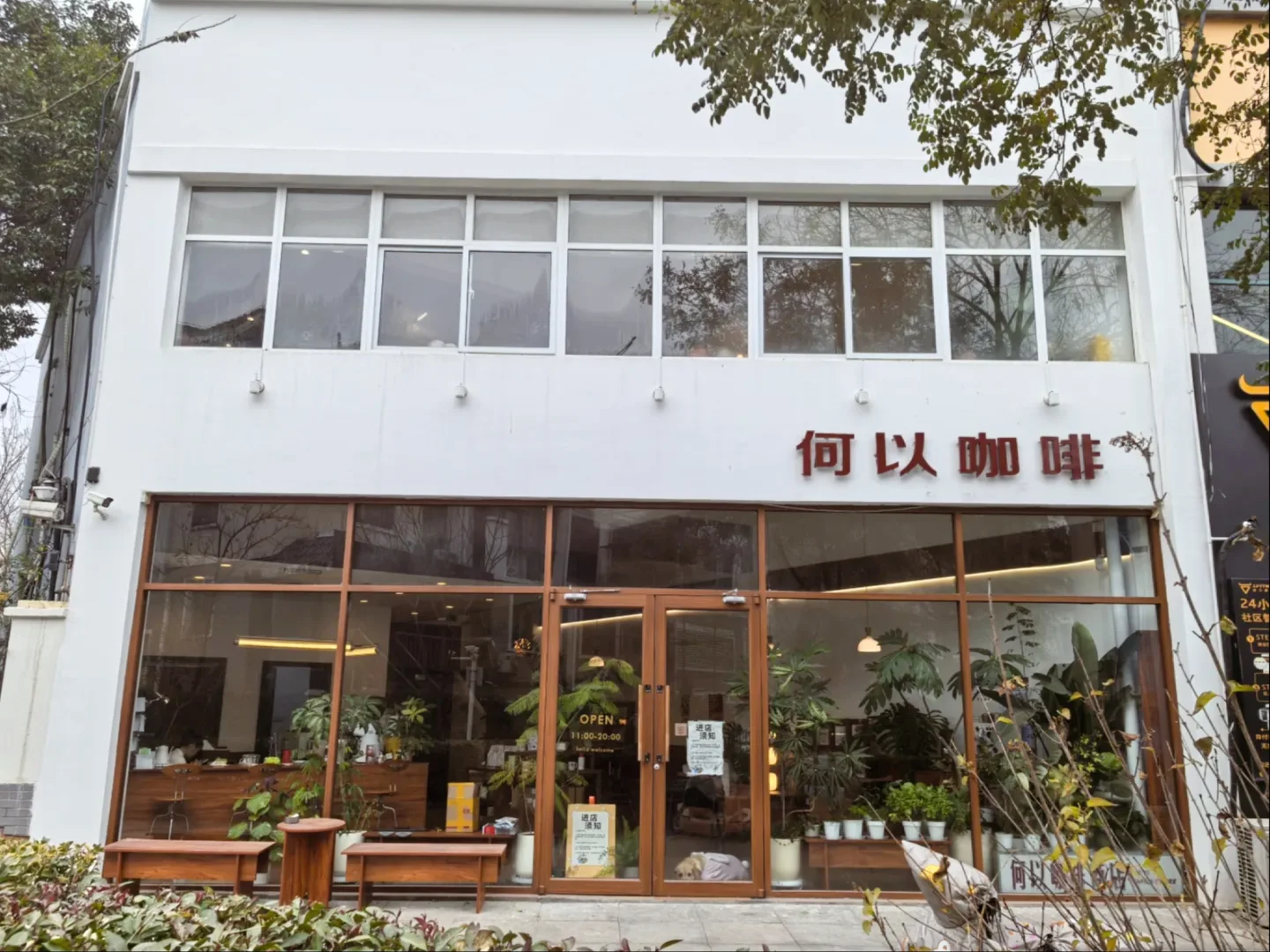 邯郸寻味记🌰糖糖私藏的栗子蛋糕与拿铁