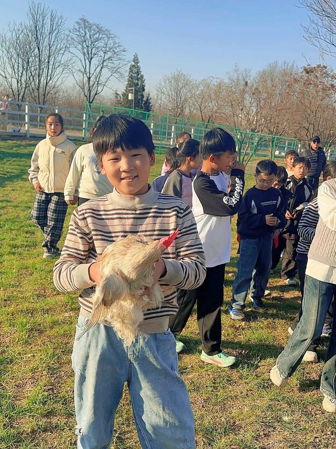 邯郸鹿尔花园免费捡鸡蛋啦❗️❗️❗️
