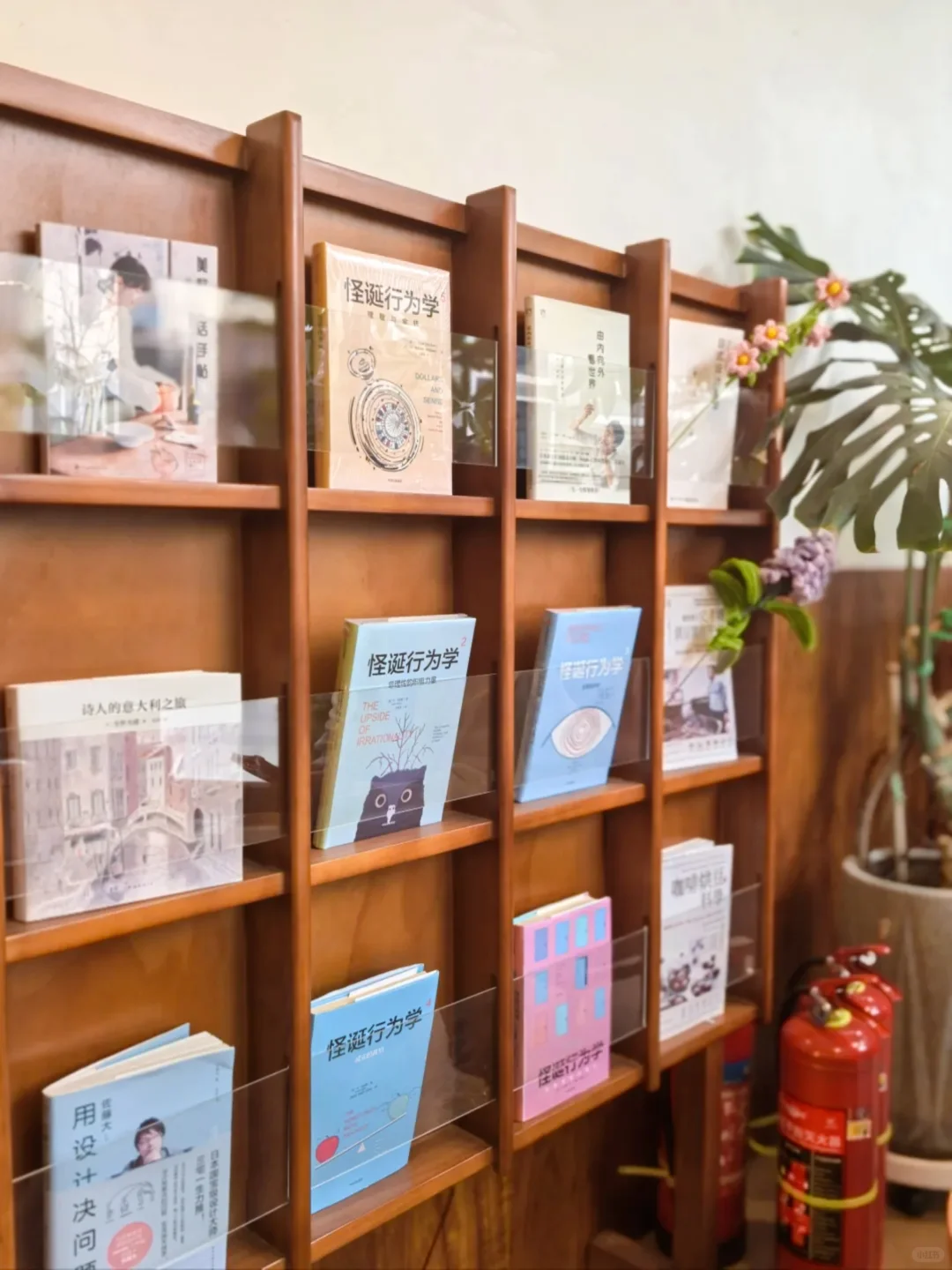 邯郸寻味记🌰糖糖私藏的栗子蛋糕与拿铁