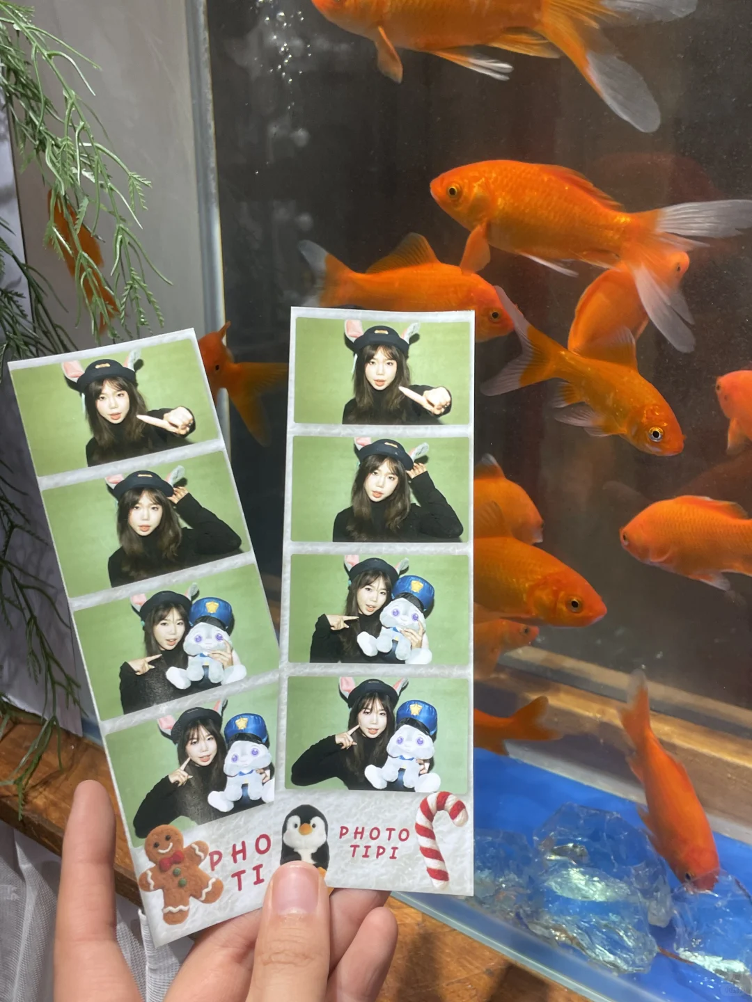 邯郸！快门按冒烟 😍快来拍小邯四宫格🤩💓‼️