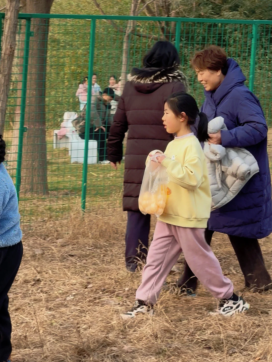 邯郸鹿尔花园免费捡鸡蛋啦❗️❗️❗️