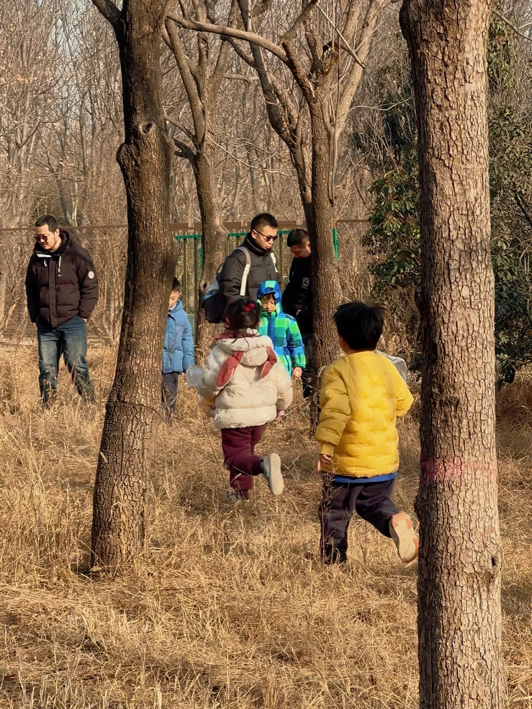 邯郸鹿尔花园免费捡鸡蛋啦❗️❗️❗️