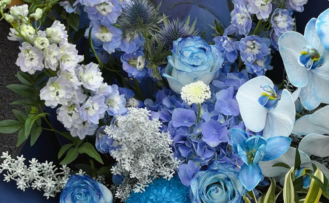 蓝色系花束💙