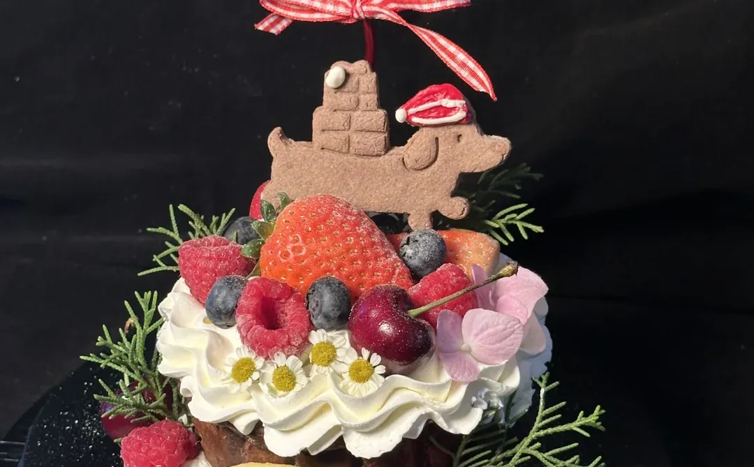 邢台蛋糕｜圣诞礼物小狗巴斯克～