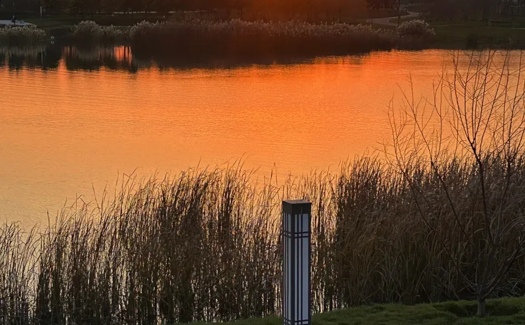 邢台宝藏公园｜如果没事做那就看个日落