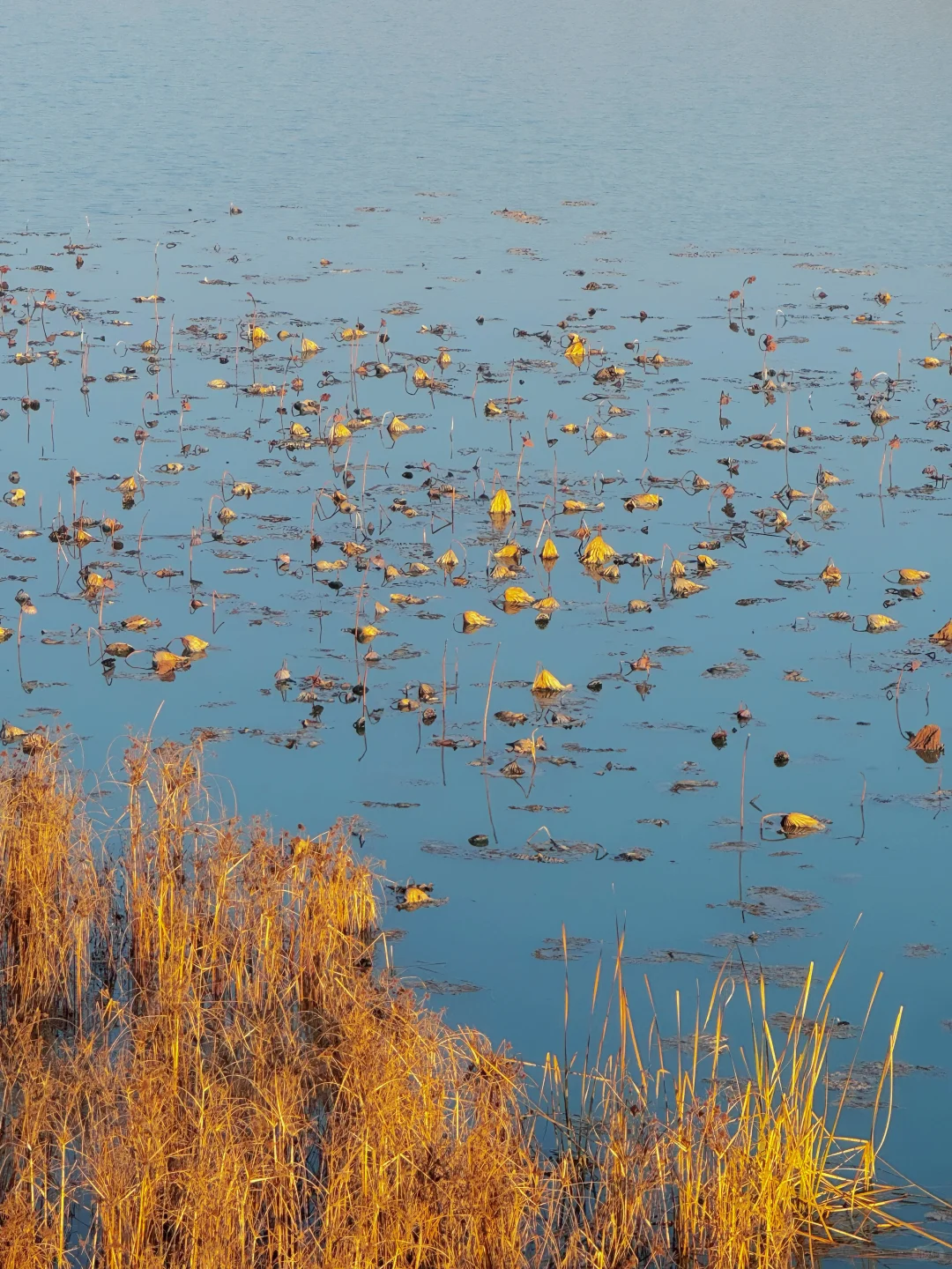 邢台私藏打卡地｜七里河南岸后楼下村