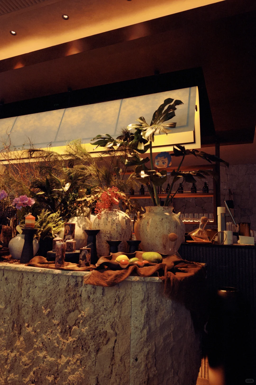 邢台逗号立方梅果！（没有期待中的好吃）