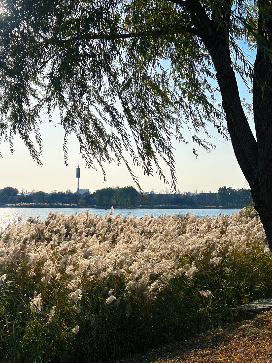 邢台宝藏公园｜如果没事做那就看个日落