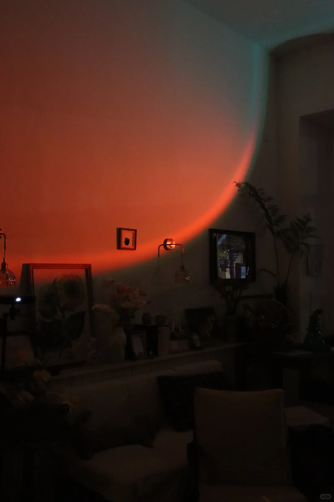 在邢台和姐妹喝漂亮酒🍸