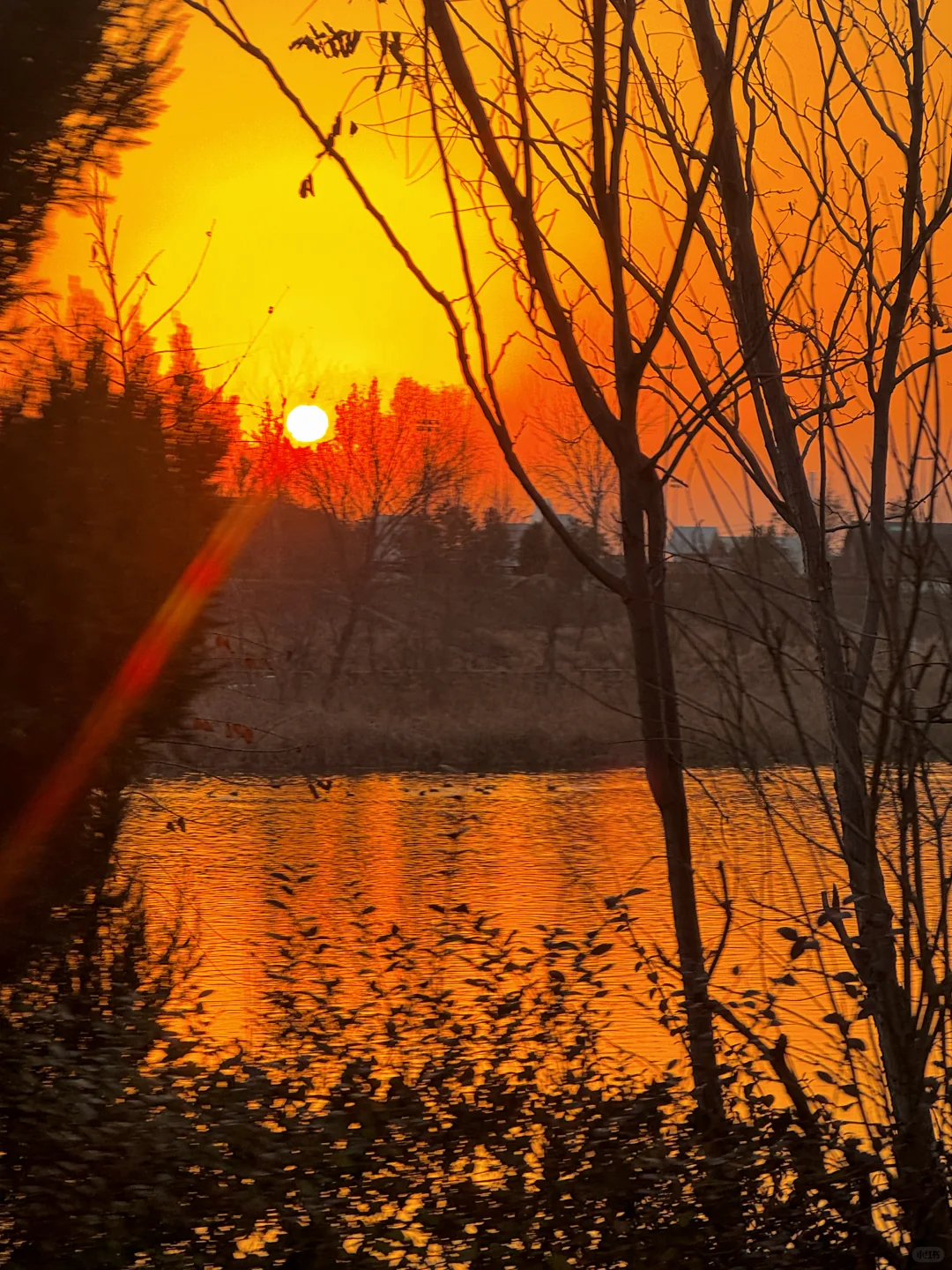 邢台私藏打卡地｜七里河南岸后楼下村
