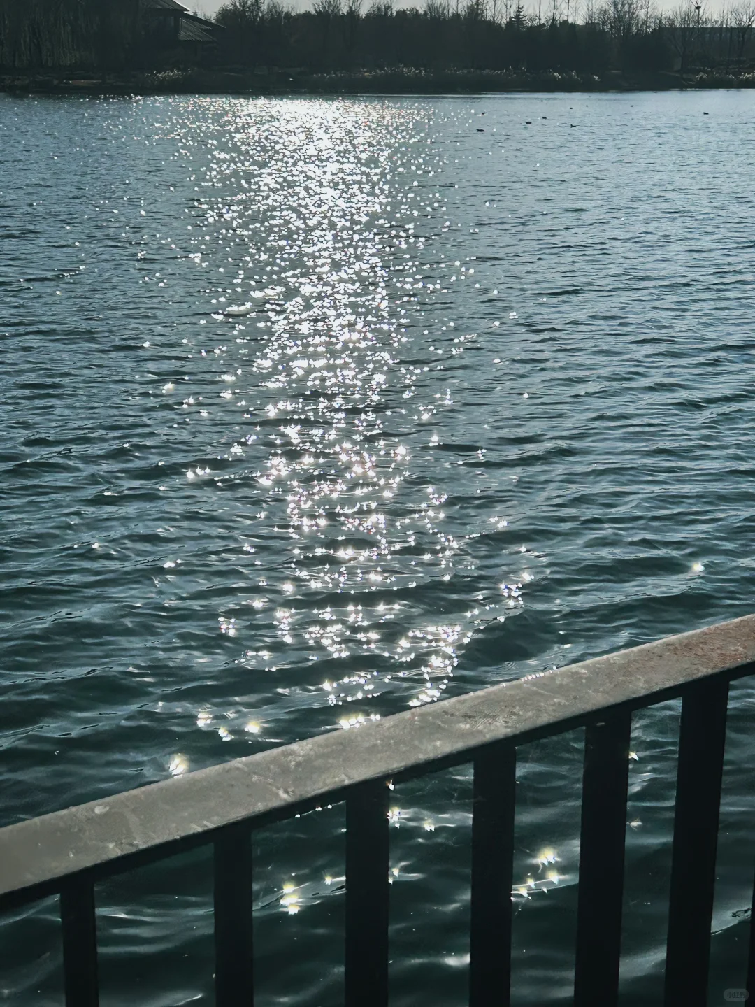 邢台宝藏公园｜如果没事做那就看个日落