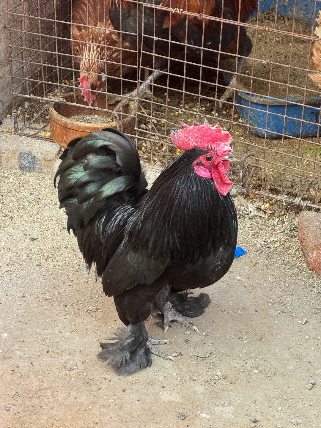 邢台私藏打卡地｜七里河南岸后楼下村