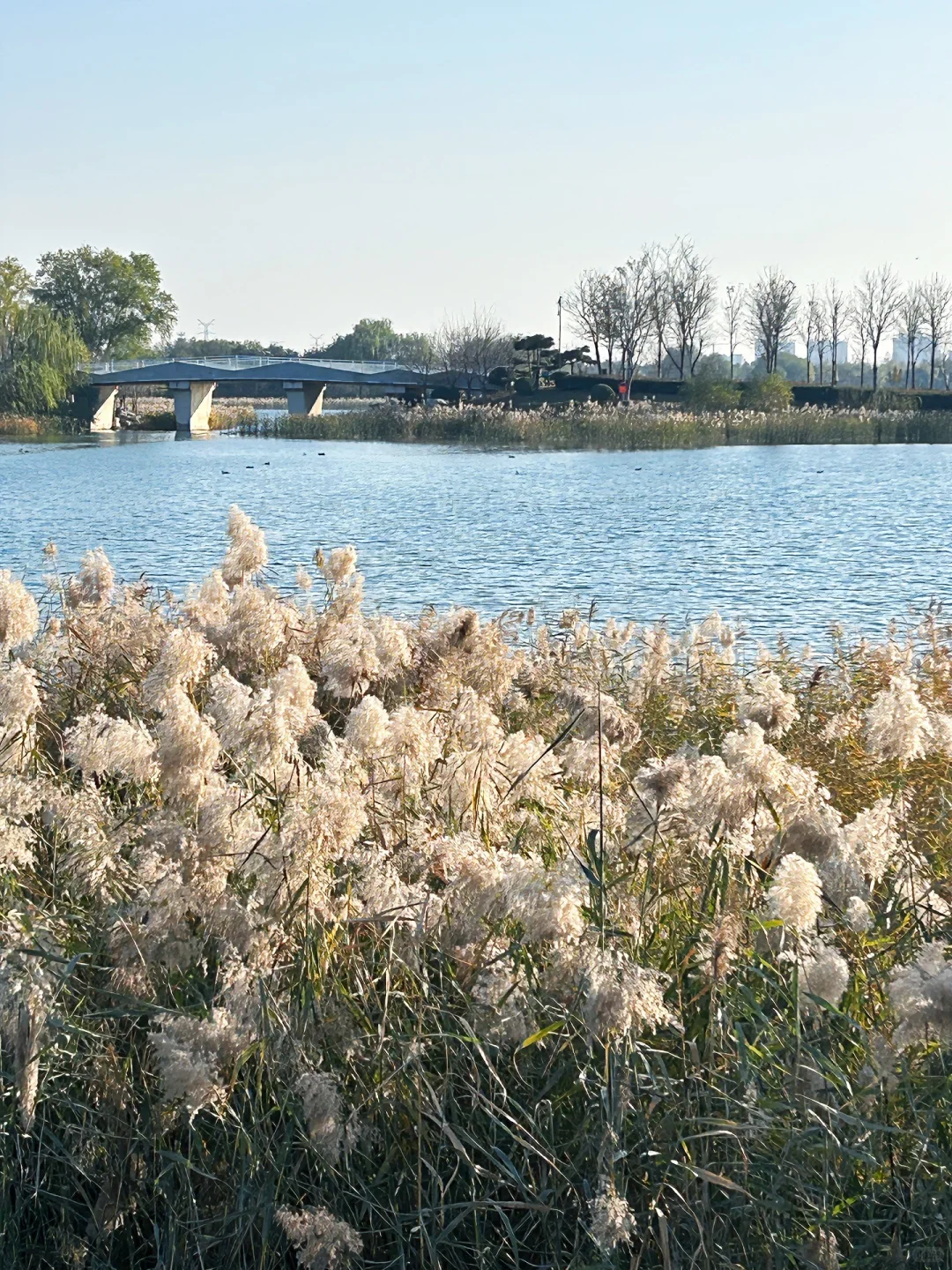 邢台宝藏公园｜如果没事做那就看个日落