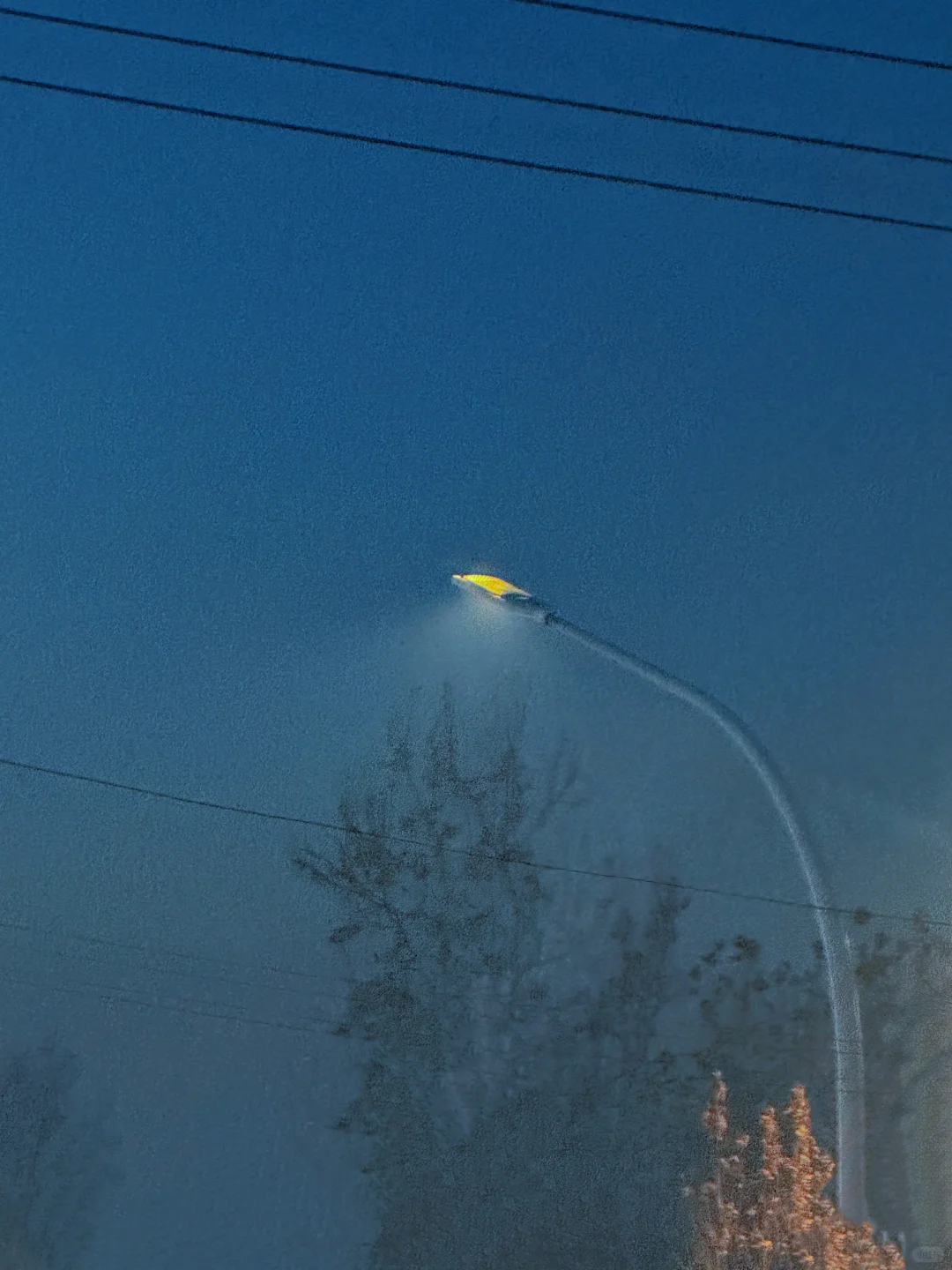 邢台私藏打卡地｜七里河南岸后楼下村