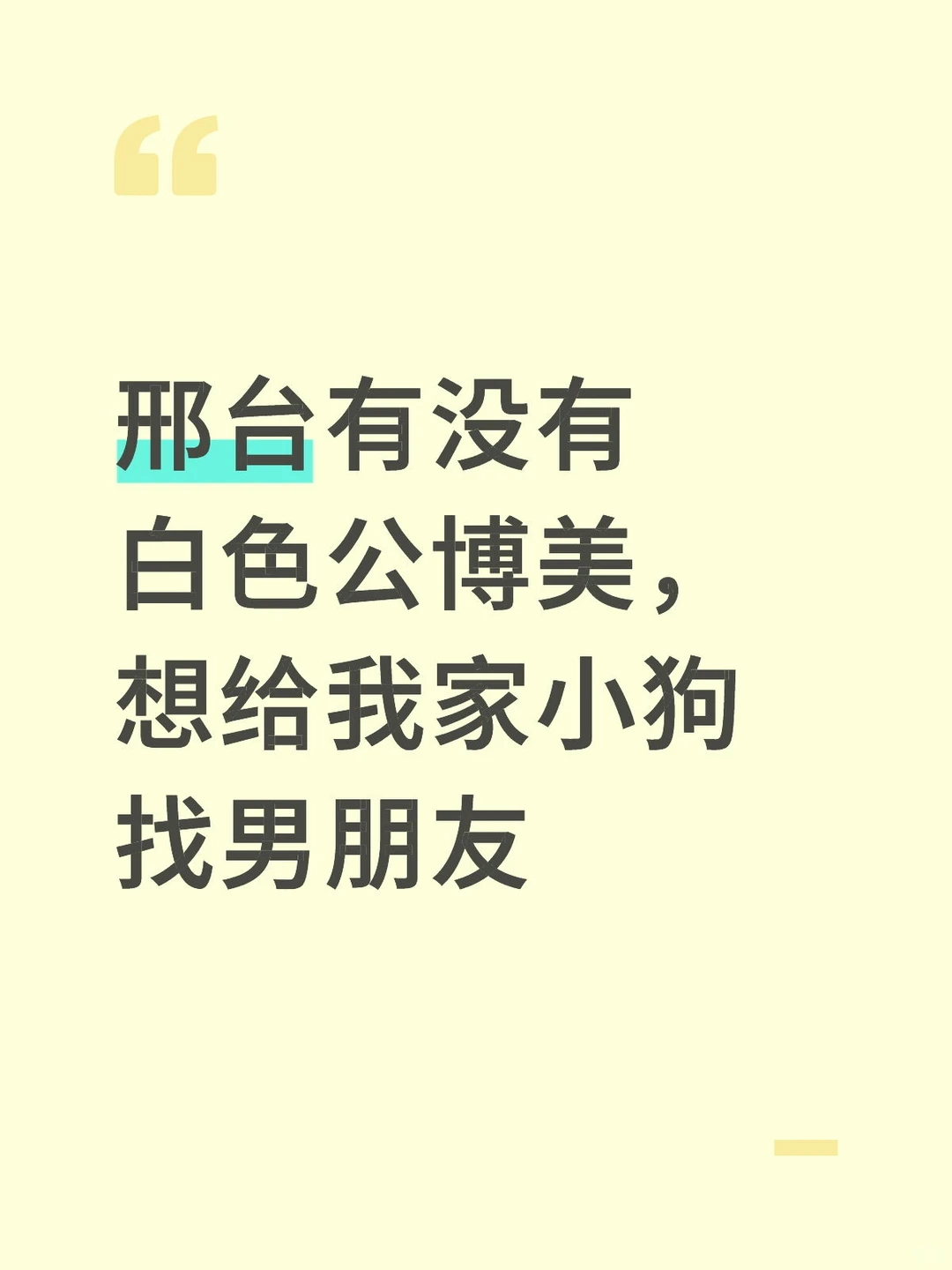 邢台有没有白色公博美，想给我家小狗找男朋