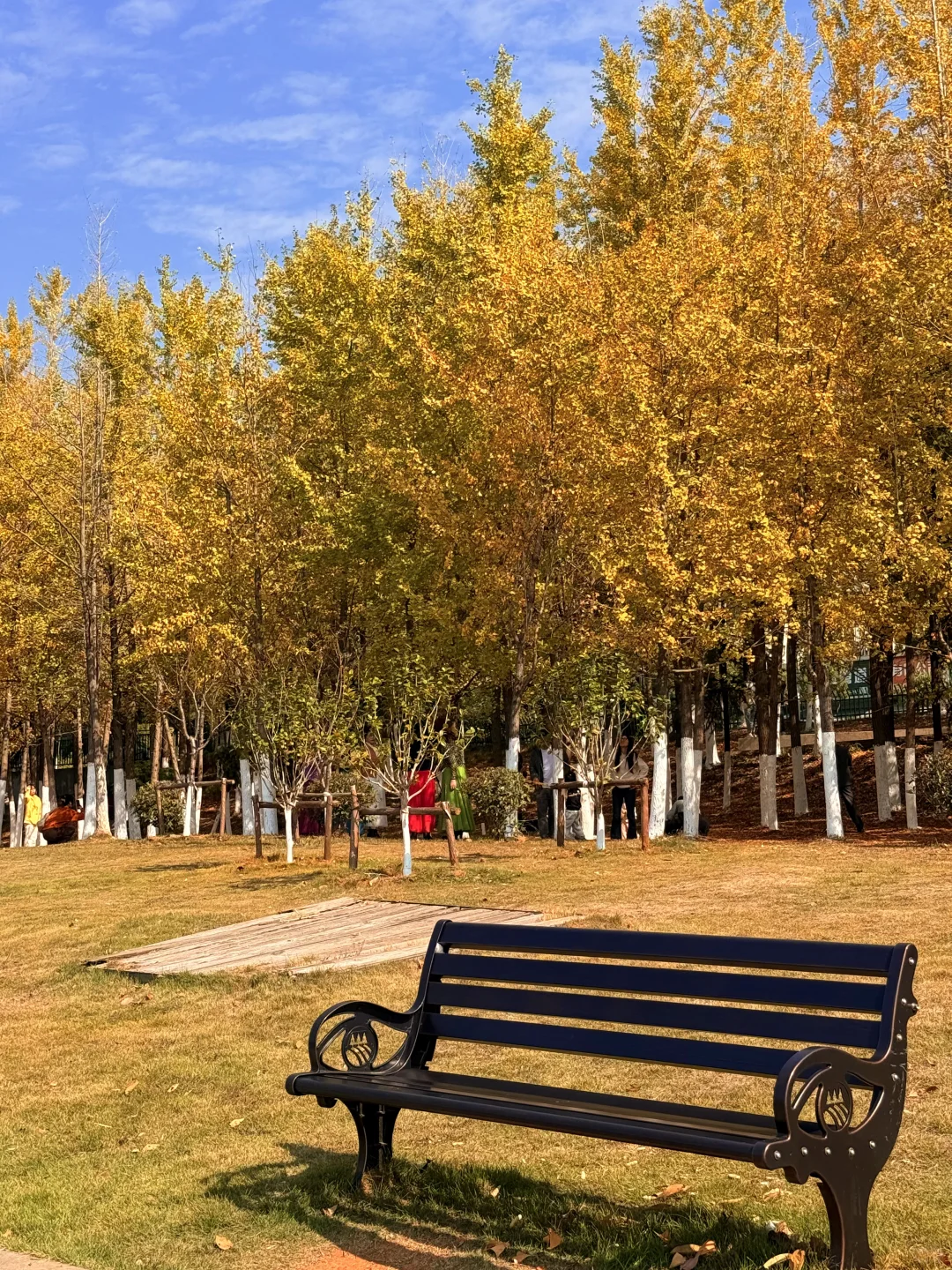 南昌最出片的5⃣️个秋日打卡地🍂（附地址