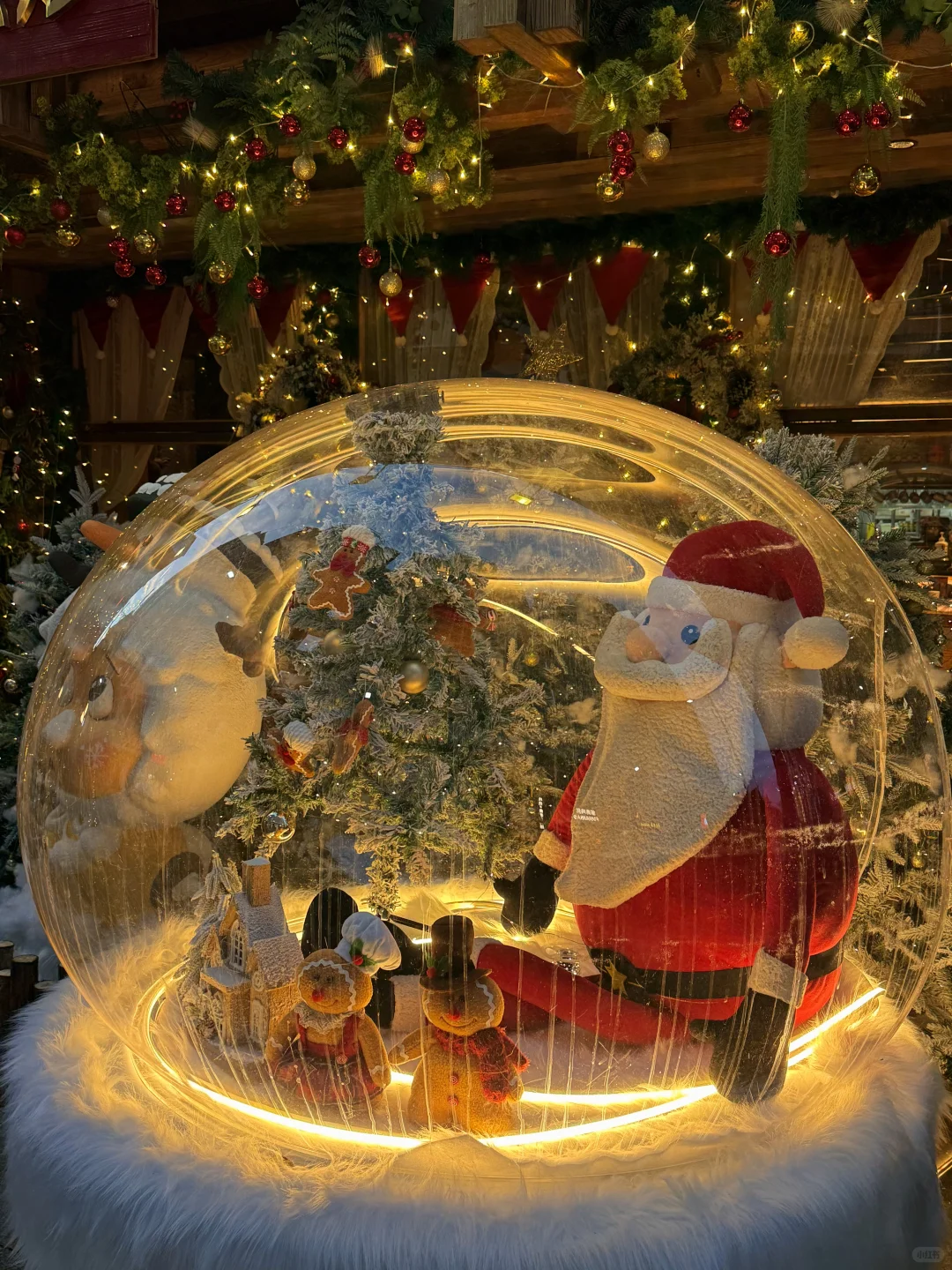 南昌11.18live实况图！！！圣诞氛围杀疯了！！！