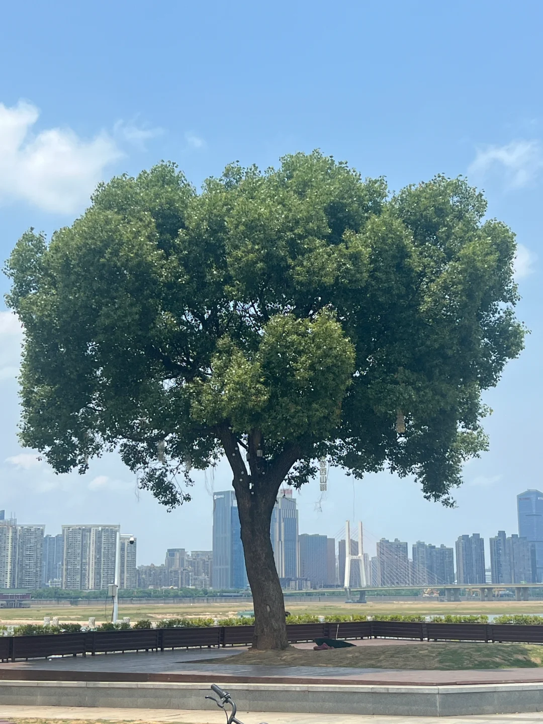 📍𝐍𝐚𝐧 𝐂𝐡𝐚𝐧𝐠 ｜总要来趟南昌吧