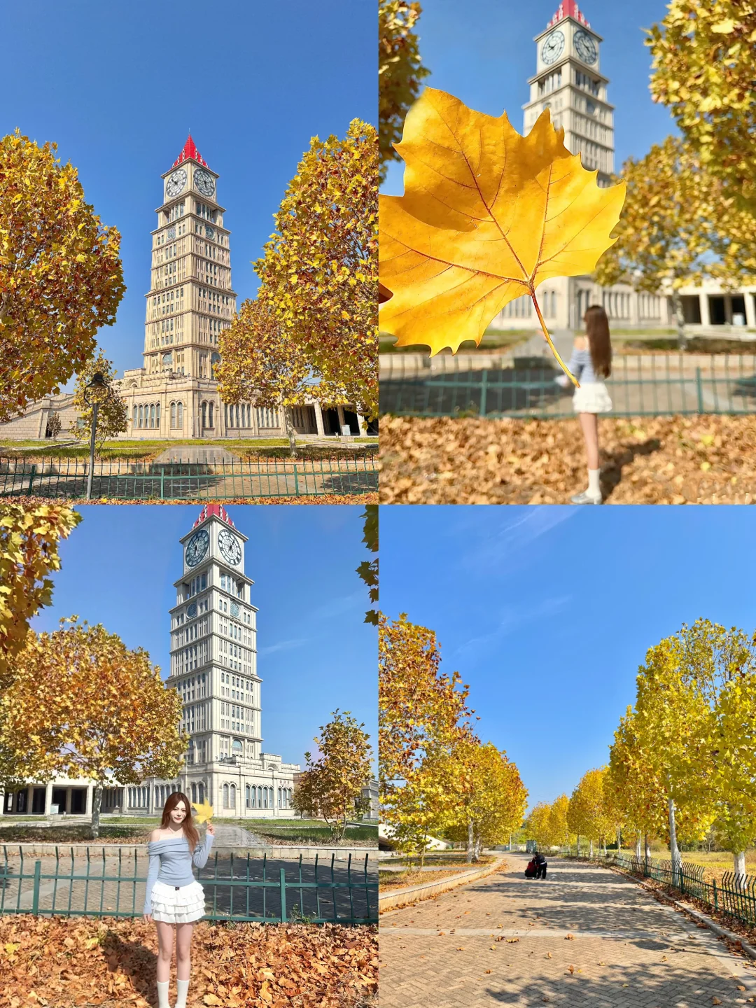 赣州｜在这个落叶像雪的季节 🍁