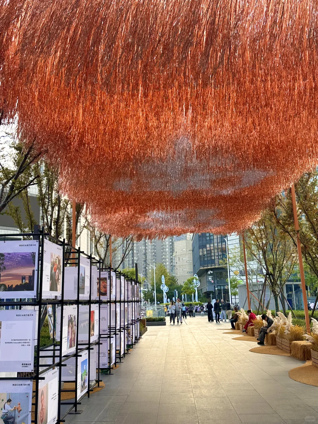 在南昌，捕捉自在放松时刻…