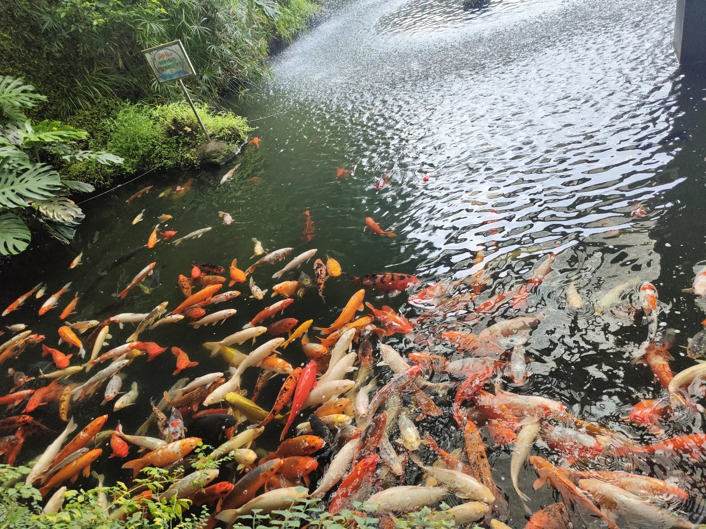 好想再去一次江西南昌啊