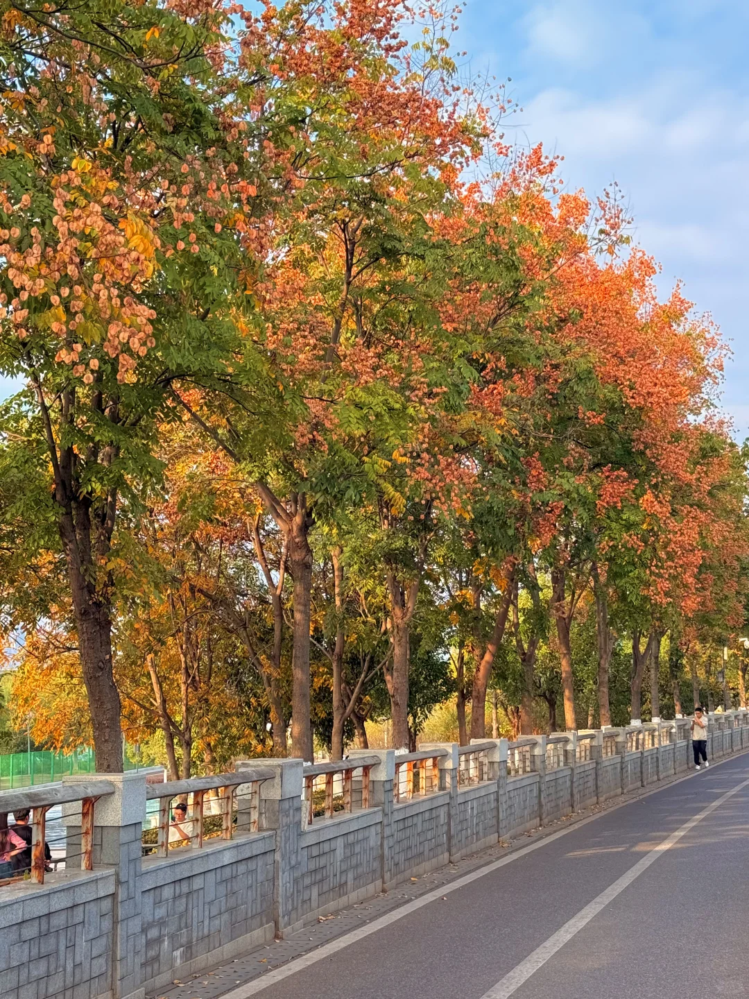 南昌最出片的5⃣️个秋日打卡地🍂（附地址