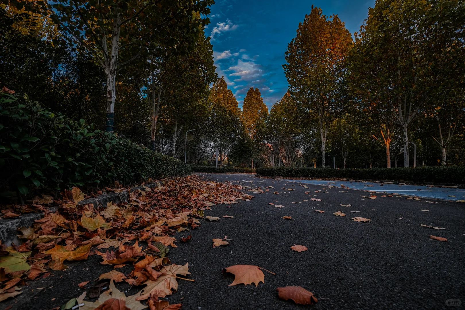 赣州滨江公园拍照