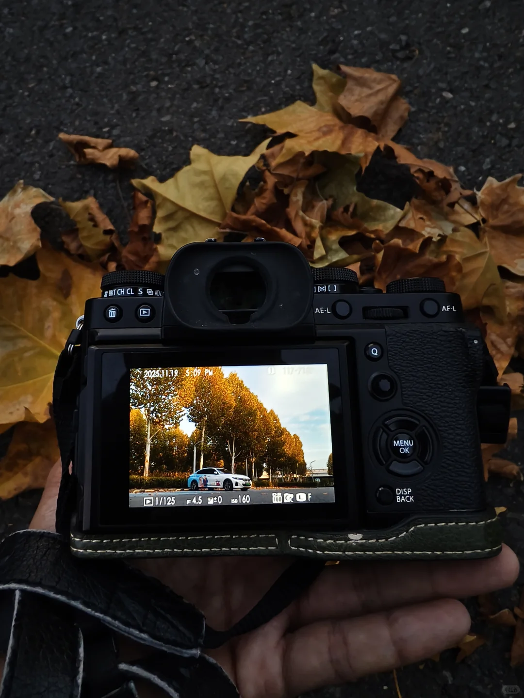 赣州滨江公园拍照