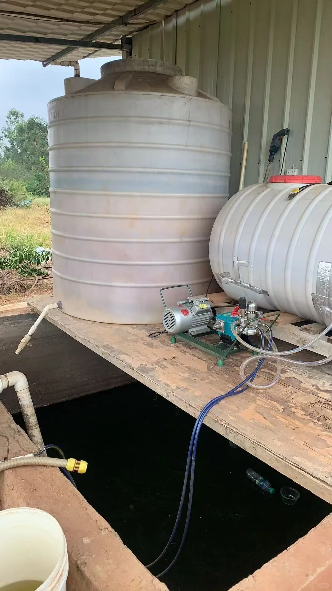 赣州信丰人在杭州富阳卖脐橙