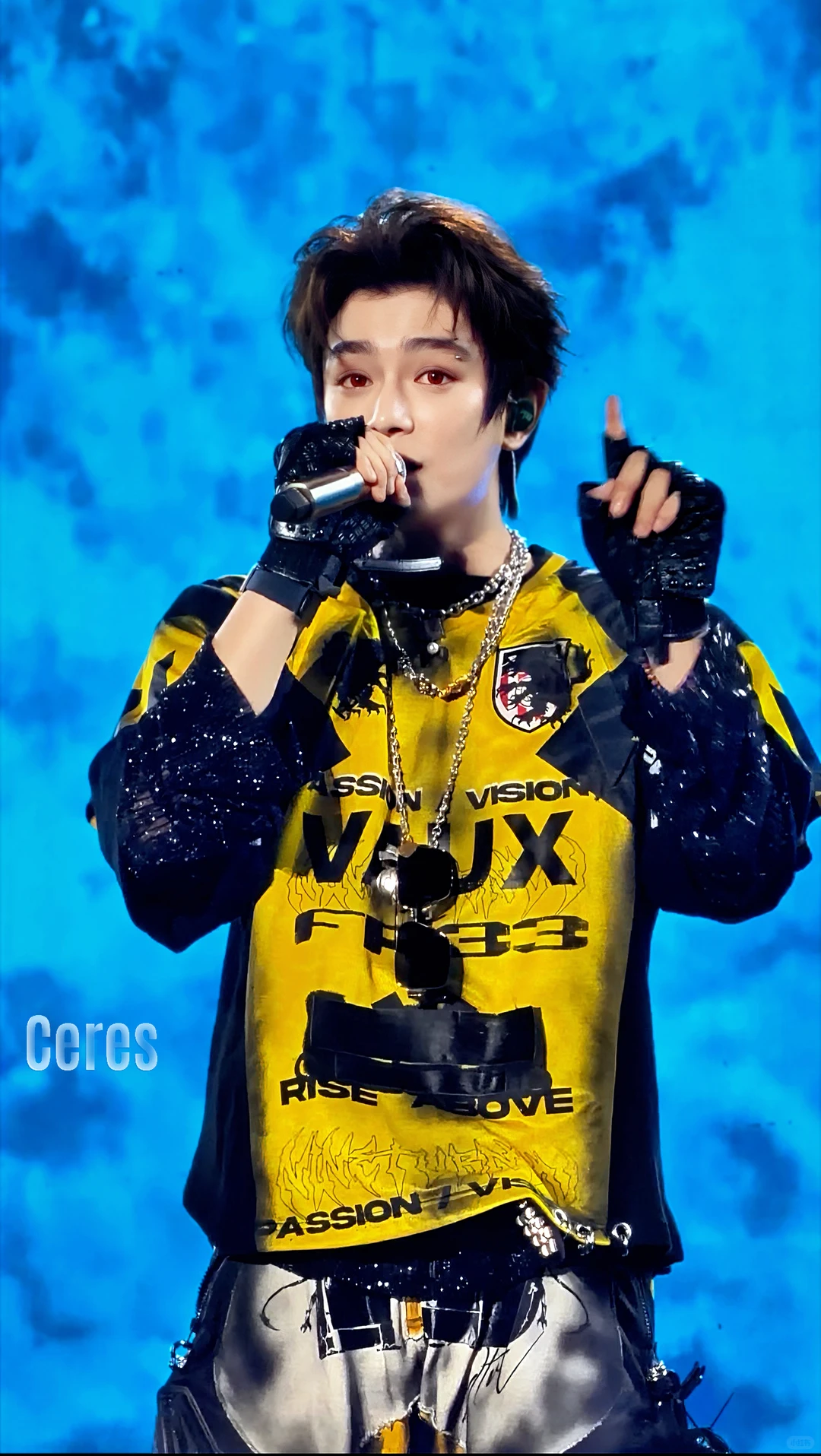 赣州巅峰音乐节丁禹兮（二）