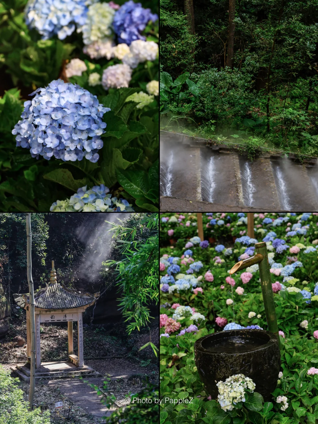 刚回来❗️通天岩挑战赛🏅💪说点大实话！