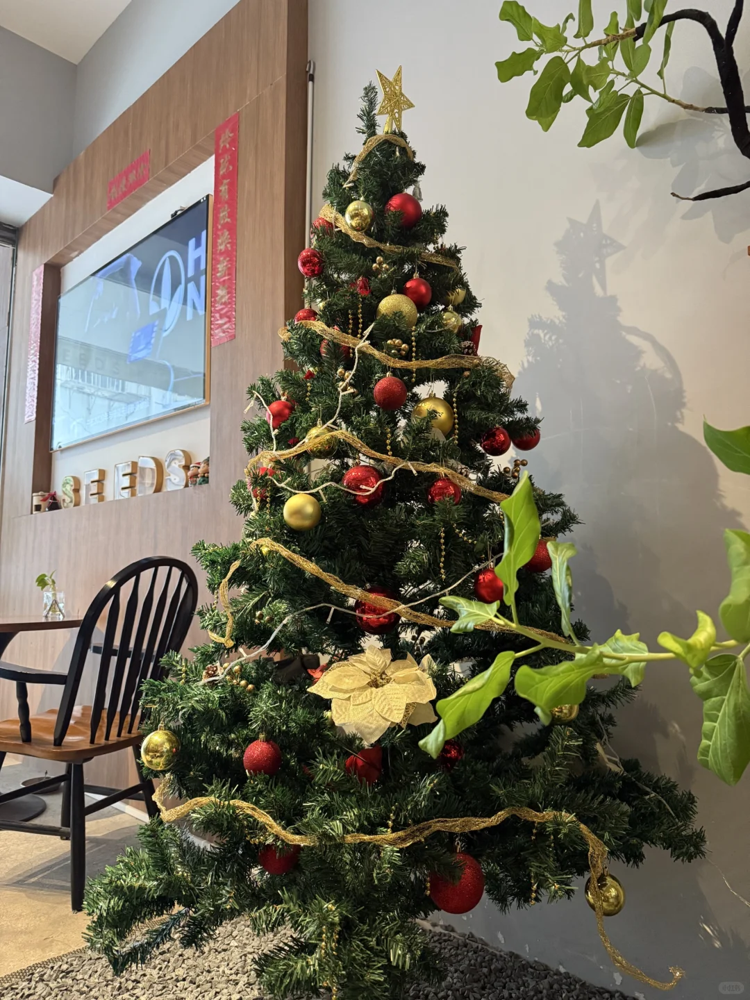 赣州线下｜喝茶小聚