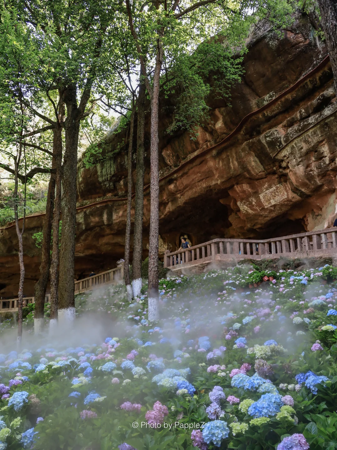 刚回来❗️通天岩挑战赛🏅💪说点大实话！