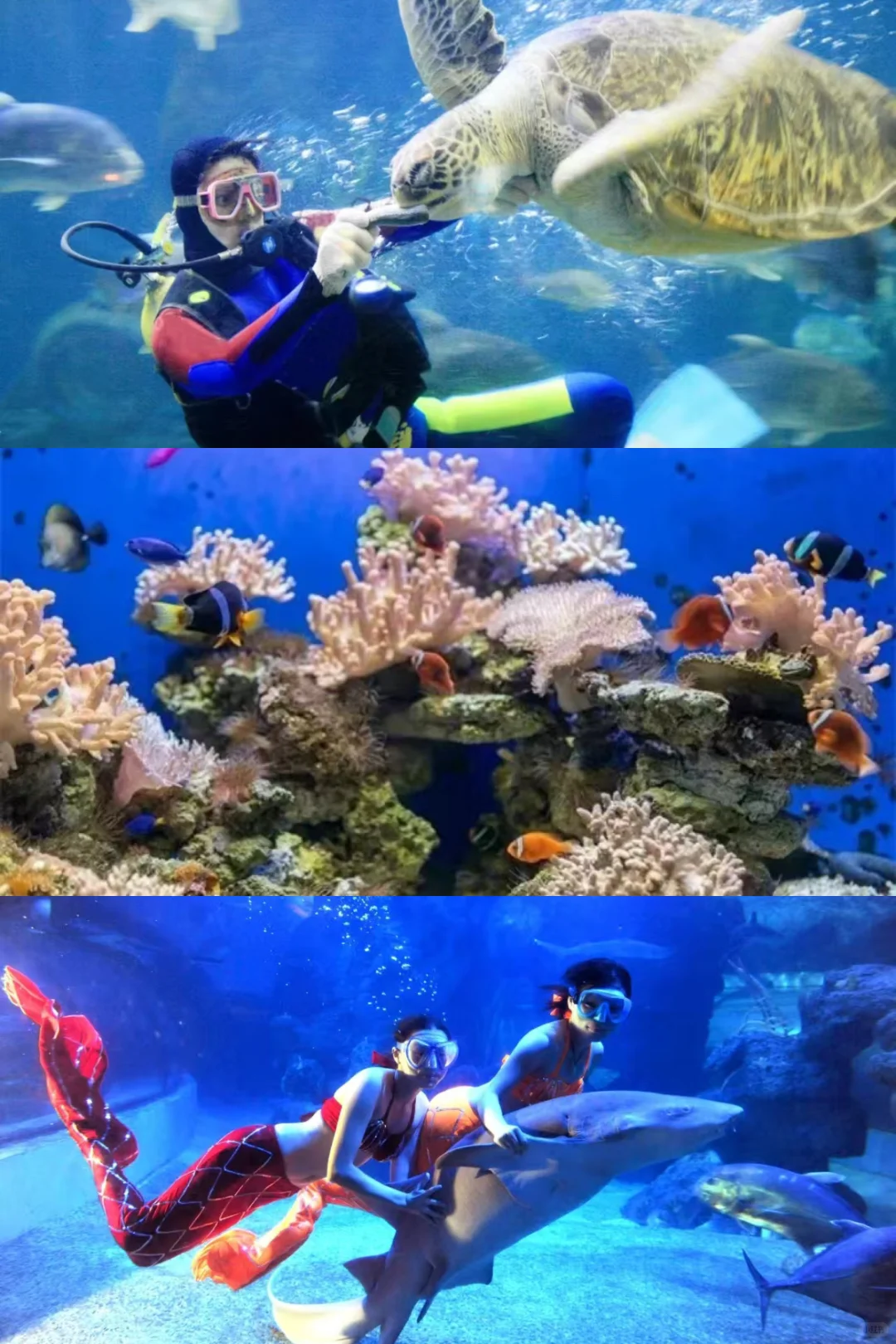 第一次来赣州，请直接复制🗺️这条游玩路线！