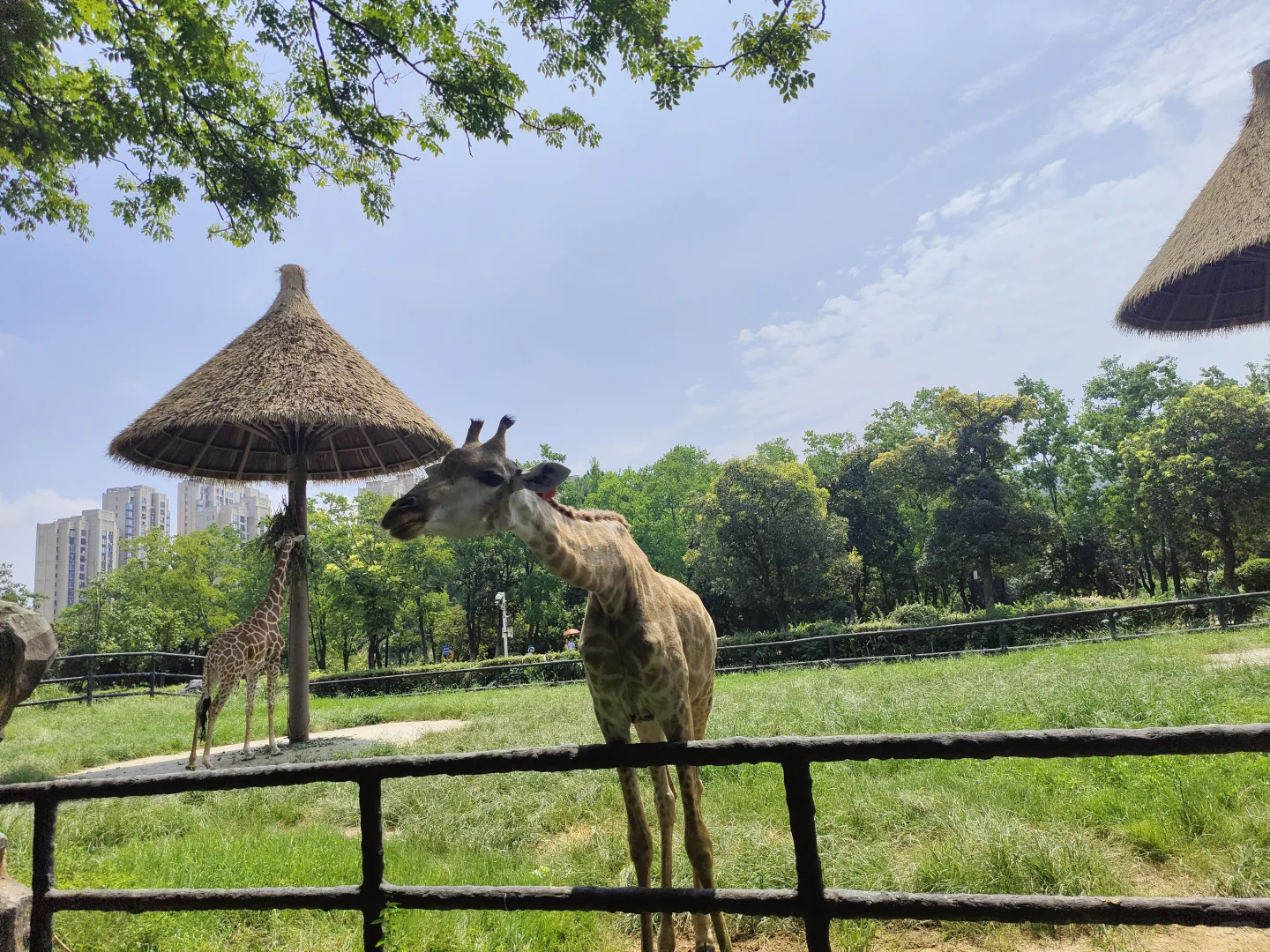 好想再去一次江西南昌啊