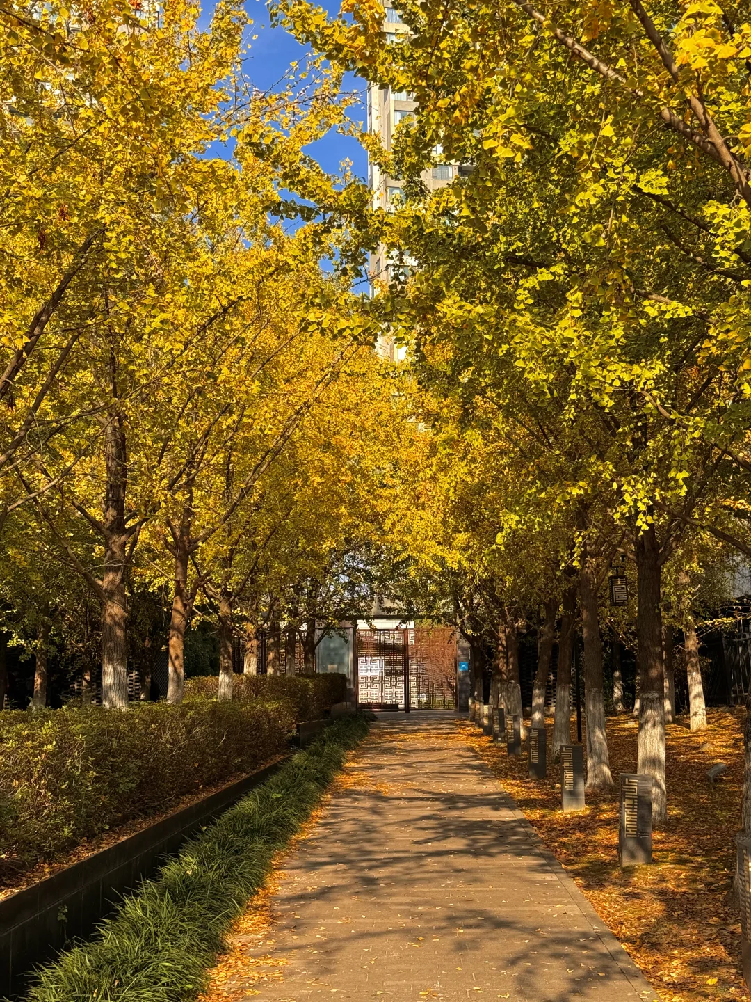 南昌最出片的5⃣️个秋日打卡地🍂（附地址