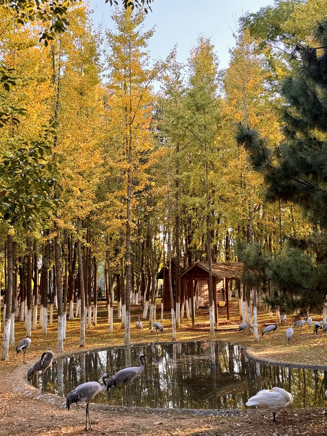 南昌最出片的5⃣️个秋日打卡地🍂（附地址