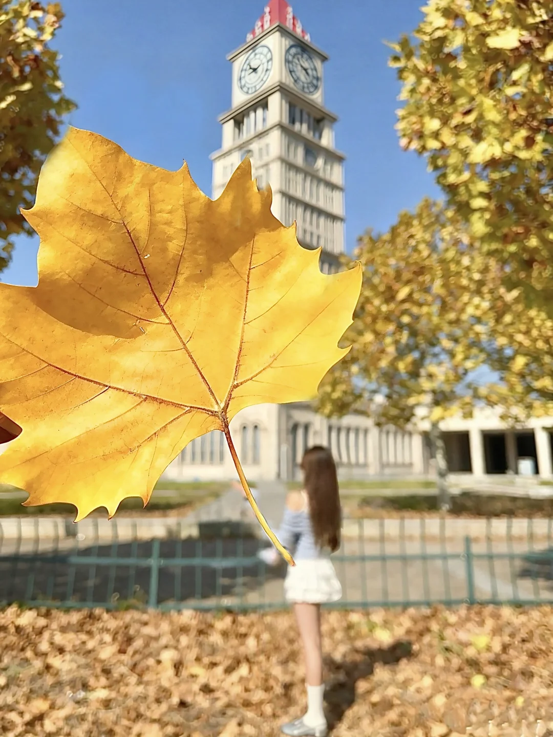 赣州｜在这个落叶像雪的季节 🍁