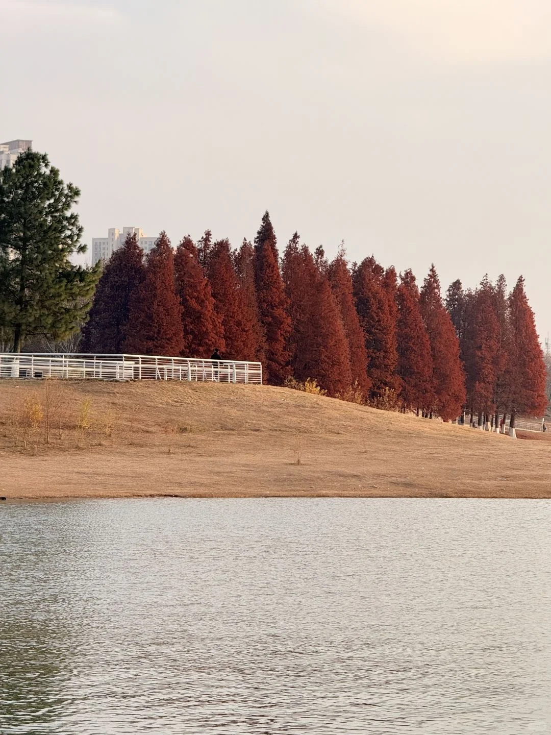 亲身体验😭南昌真的不适合带包来😭