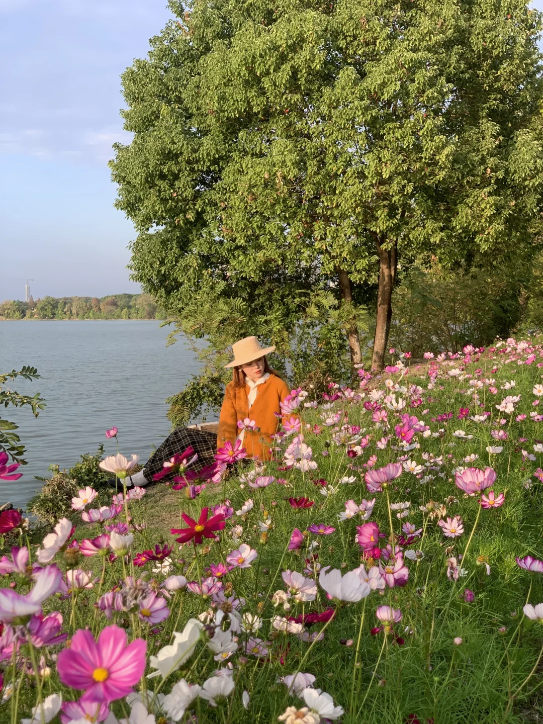 12月来南昌的进！南昌己降温周 真心提醒…