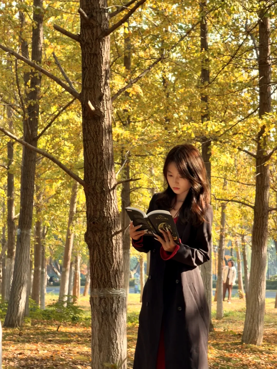 南昌最出片的5⃣️个秋日打卡地🍂（附地址