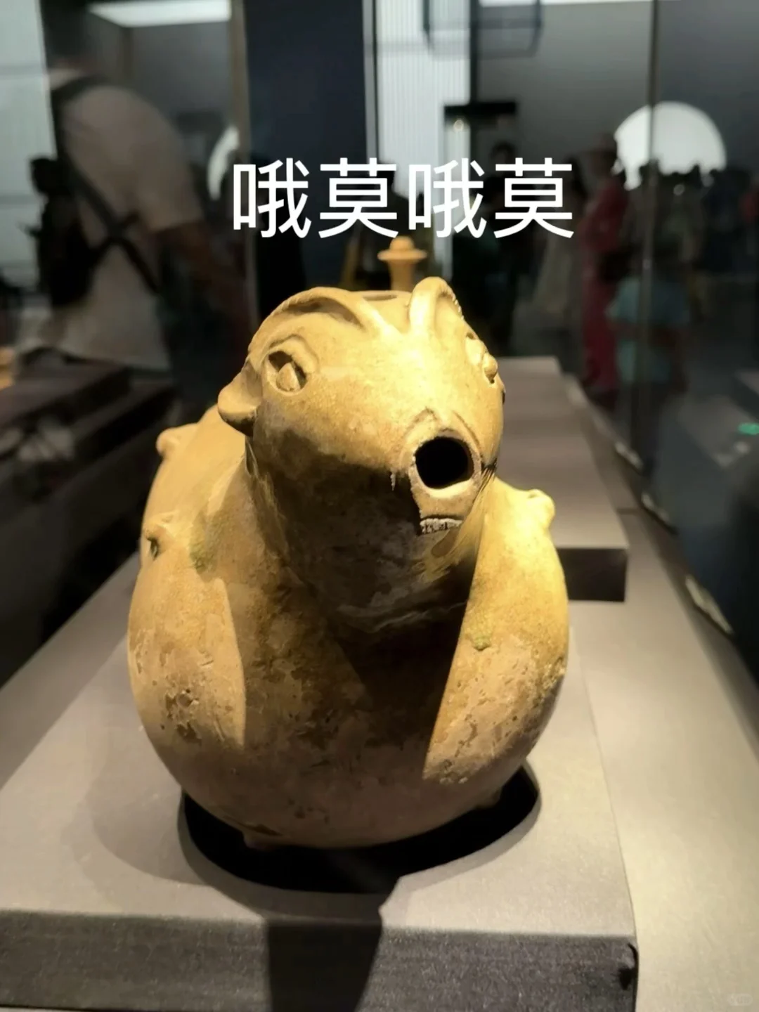 南昌花的最值得一笔钱！