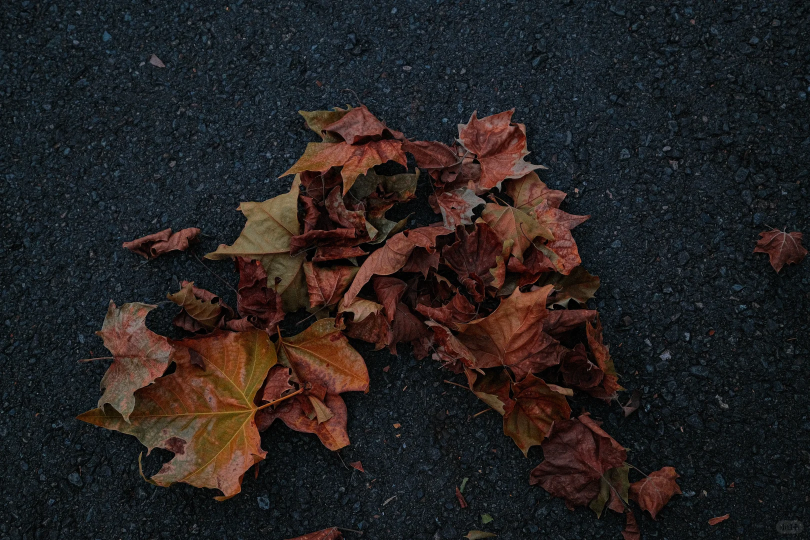 赣州滨江公园拍照