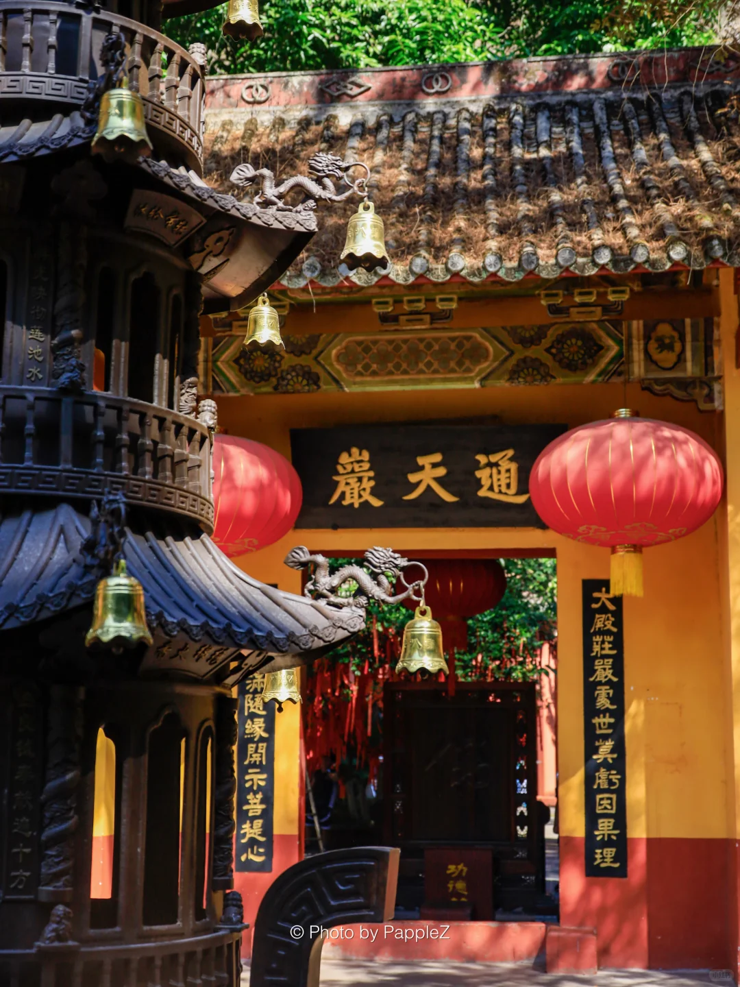 刚回来❗️通天岩挑战赛🏅💪说点大实话！