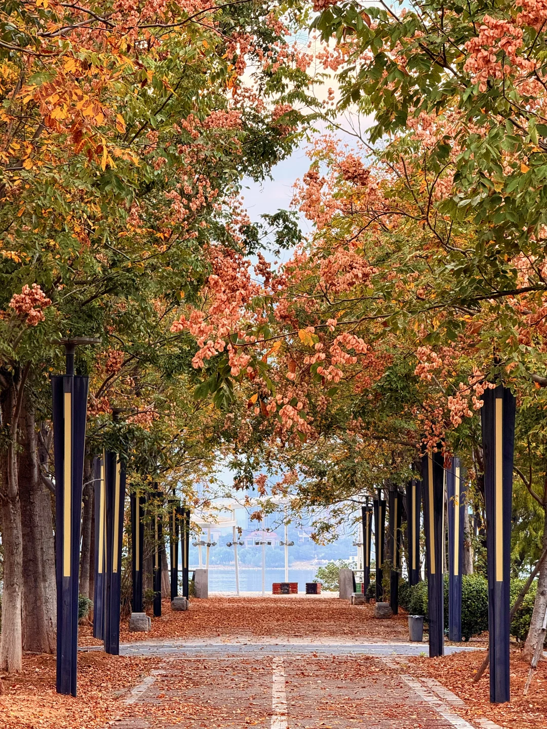 南昌最出片的5⃣️个秋日打卡地🍂（附地址