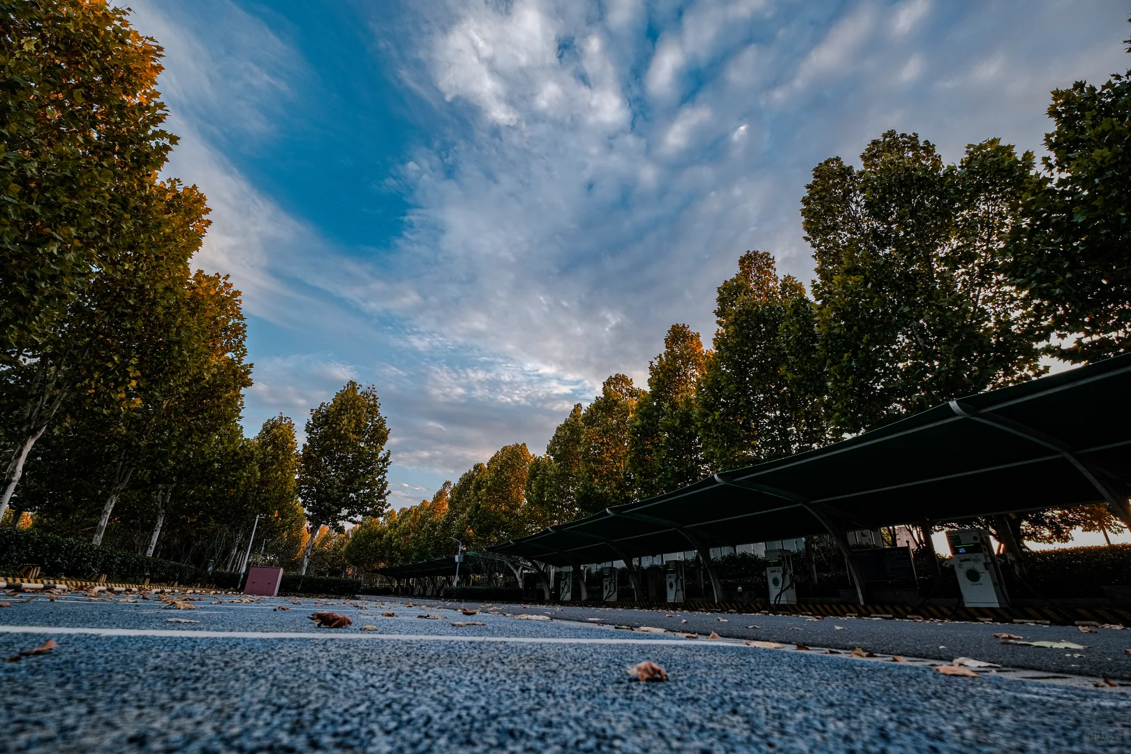 赣州滨江公园拍照