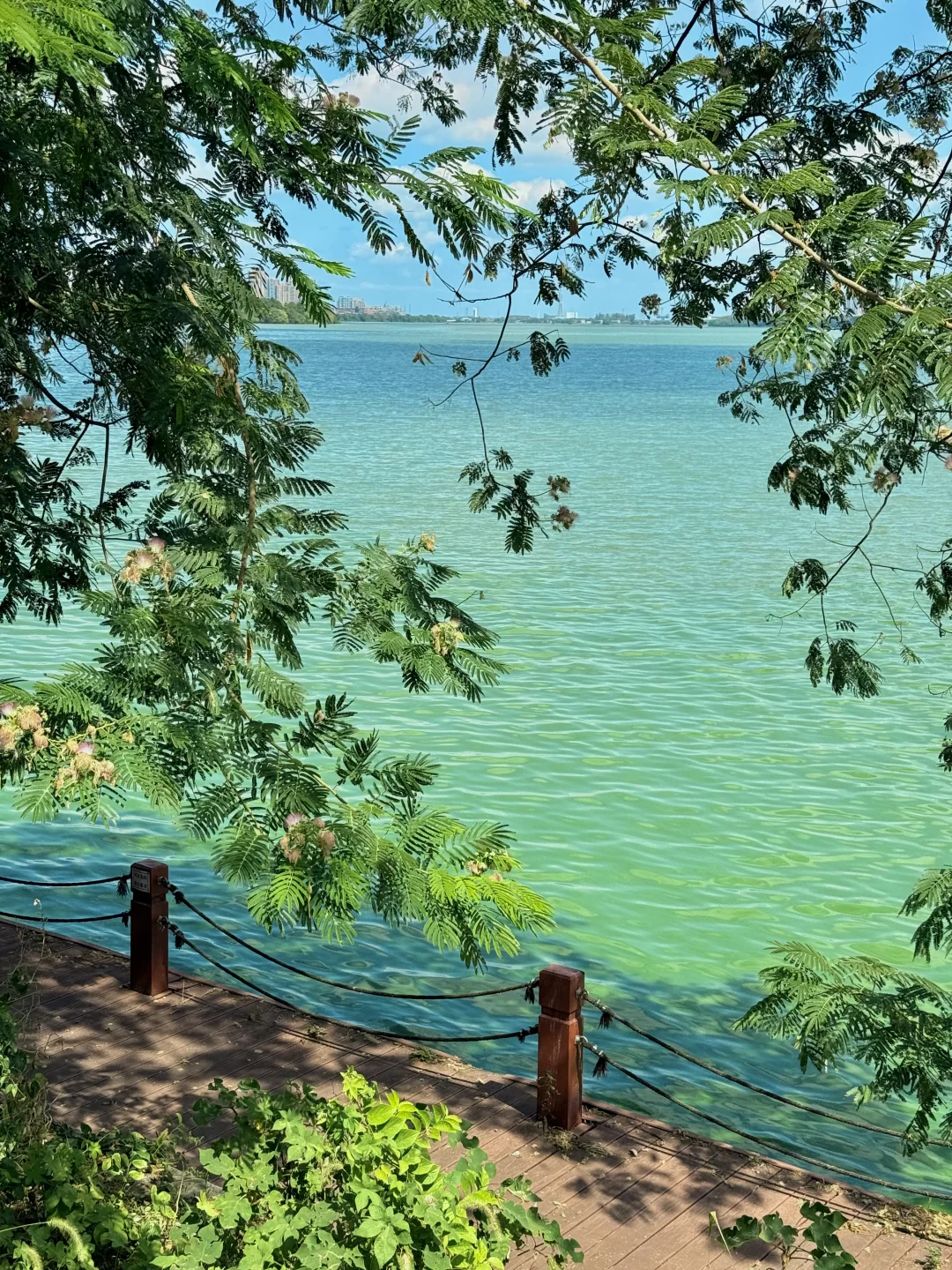 12月来南昌的进！南昌己降温周 真心提醒…